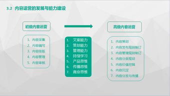 互聯(lián)網(wǎng)公司產(chǎn)品、運(yùn)營(yíng)與技術(shù)三條業(yè)務(wù)線(xiàn)路的概覽與文化特性